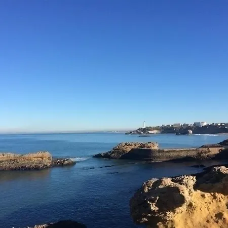 Le Florian : Cosy A Moins De 500m Des Plages Appartamento Biarritz